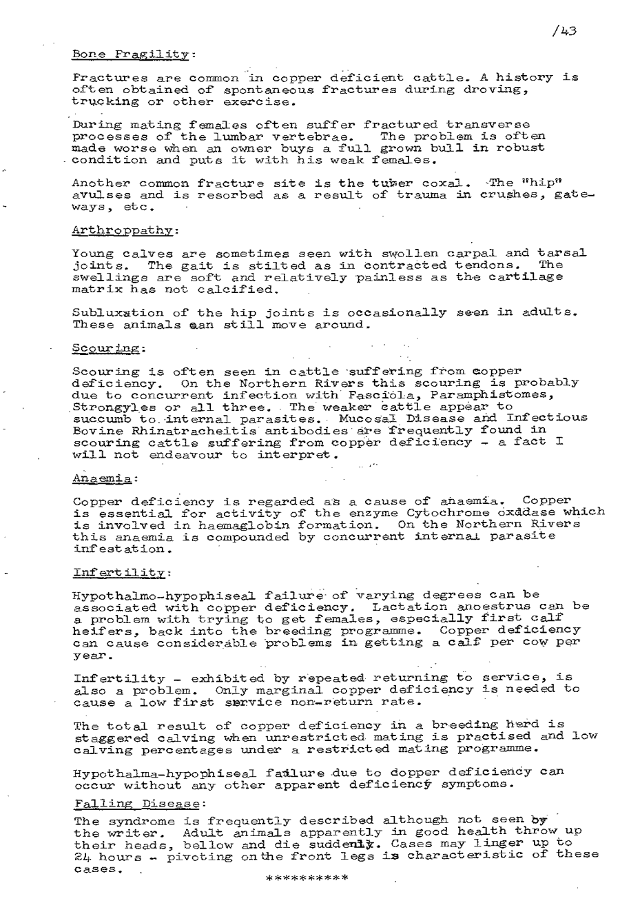 1975 page 43